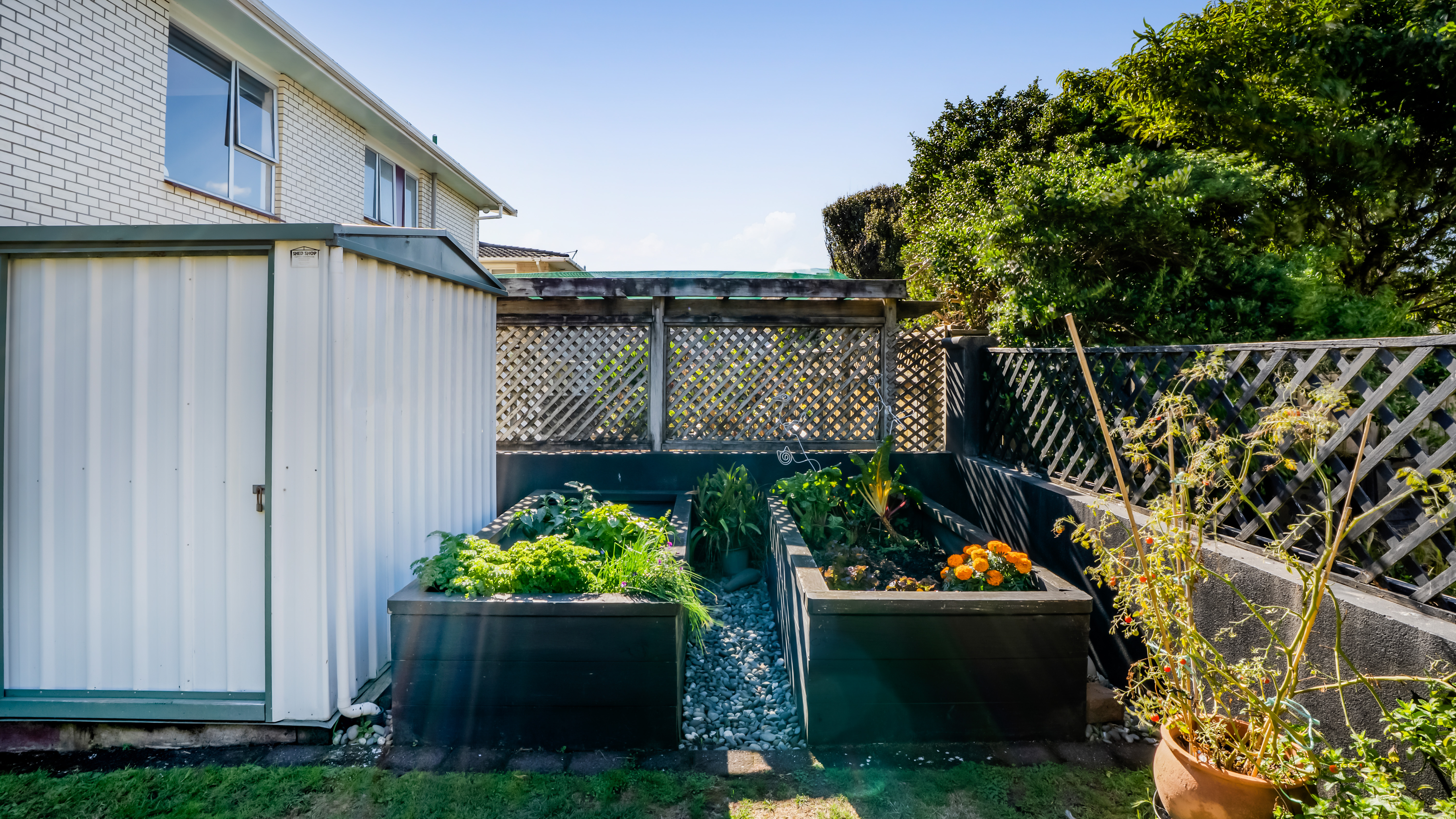 listing-image-34
