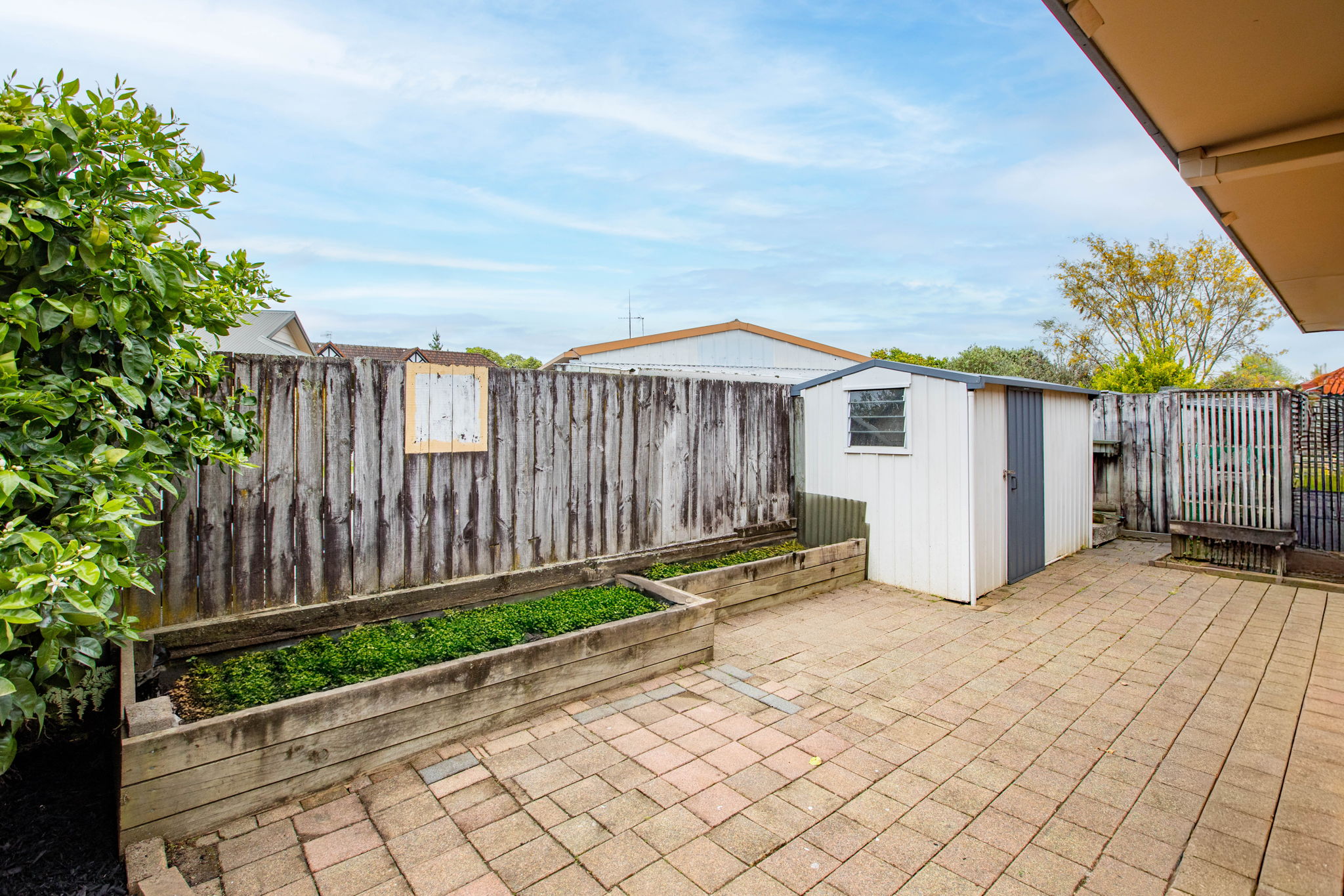 listing-image-16