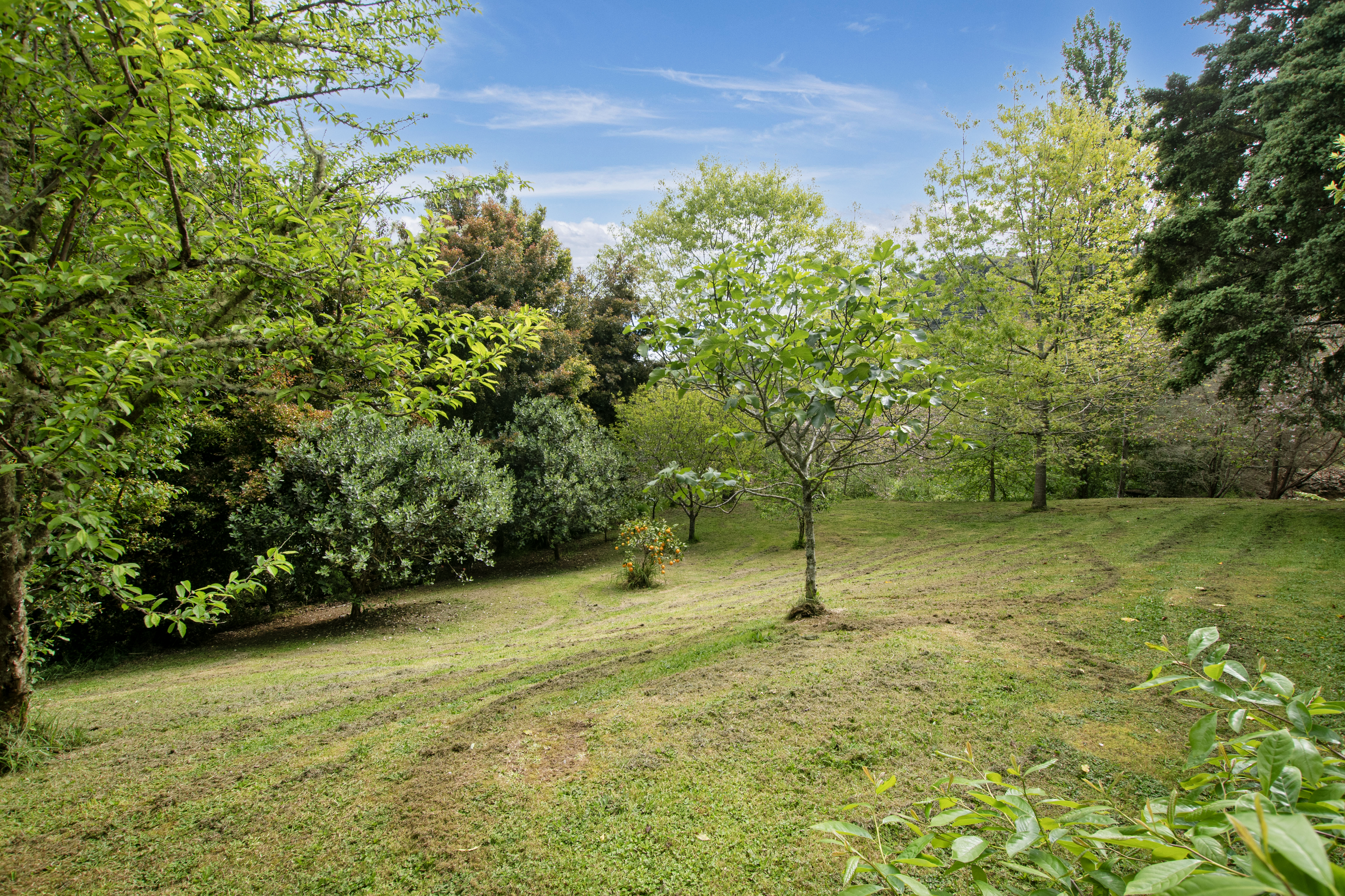 listing-image-15