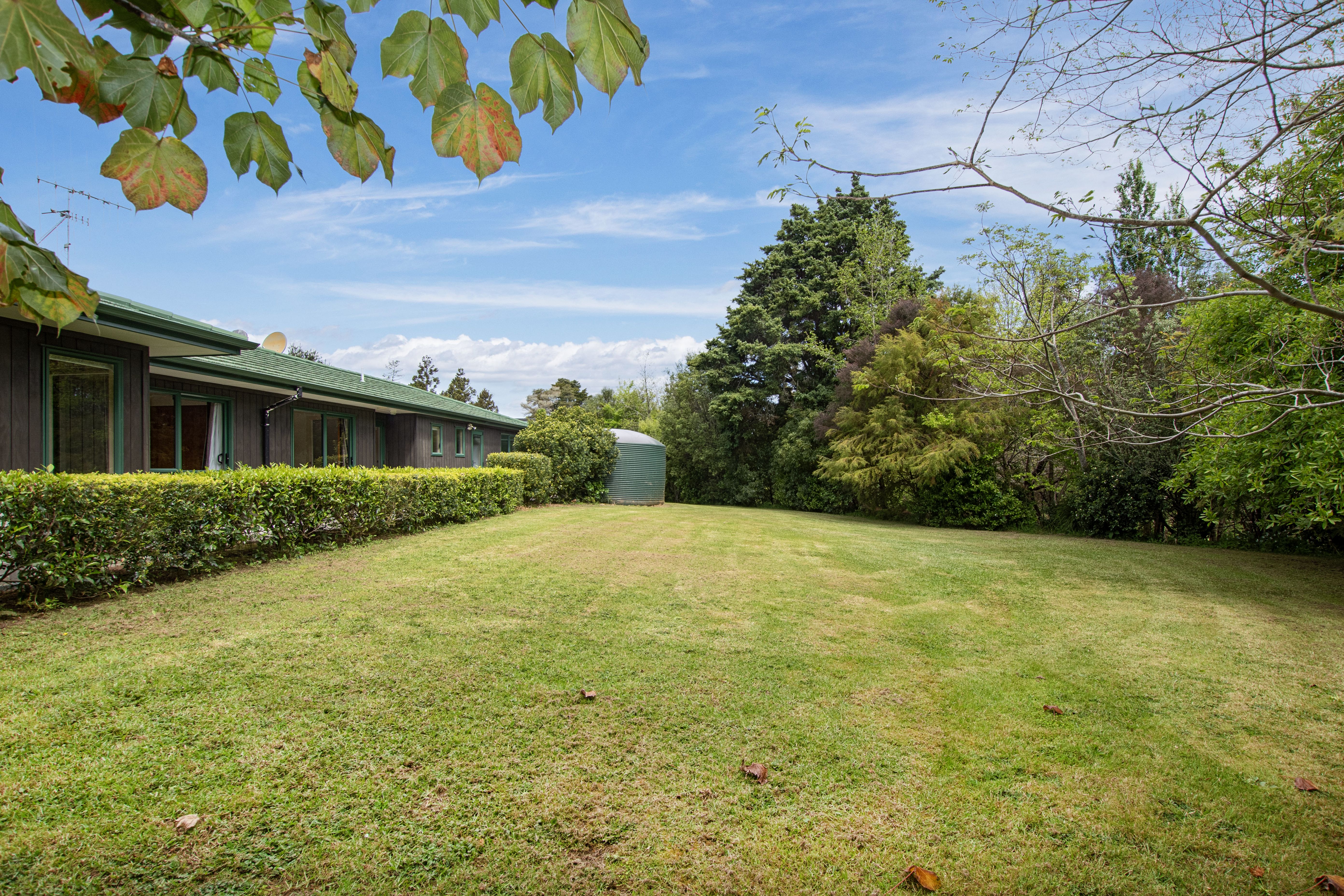 listing-image-16